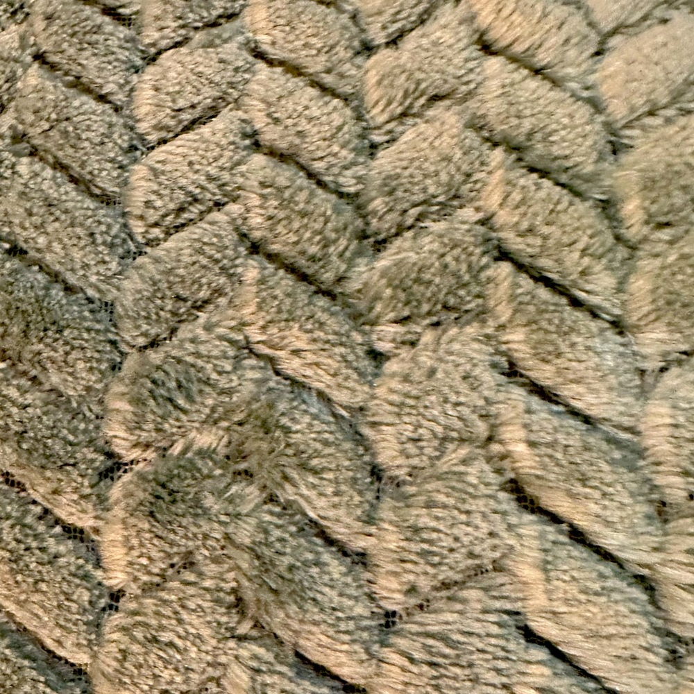 - F/Q Blanket